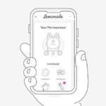 Is Lemonade Pet Insurance The Right Plan For You?