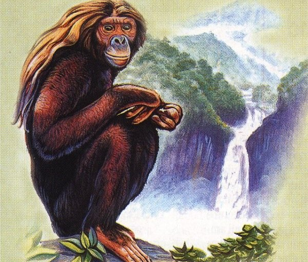 Orang Pendek – The Jungle Ape of Sumatra